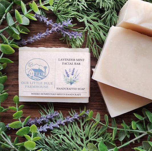 Lavender Mint Facial Soap Bar
