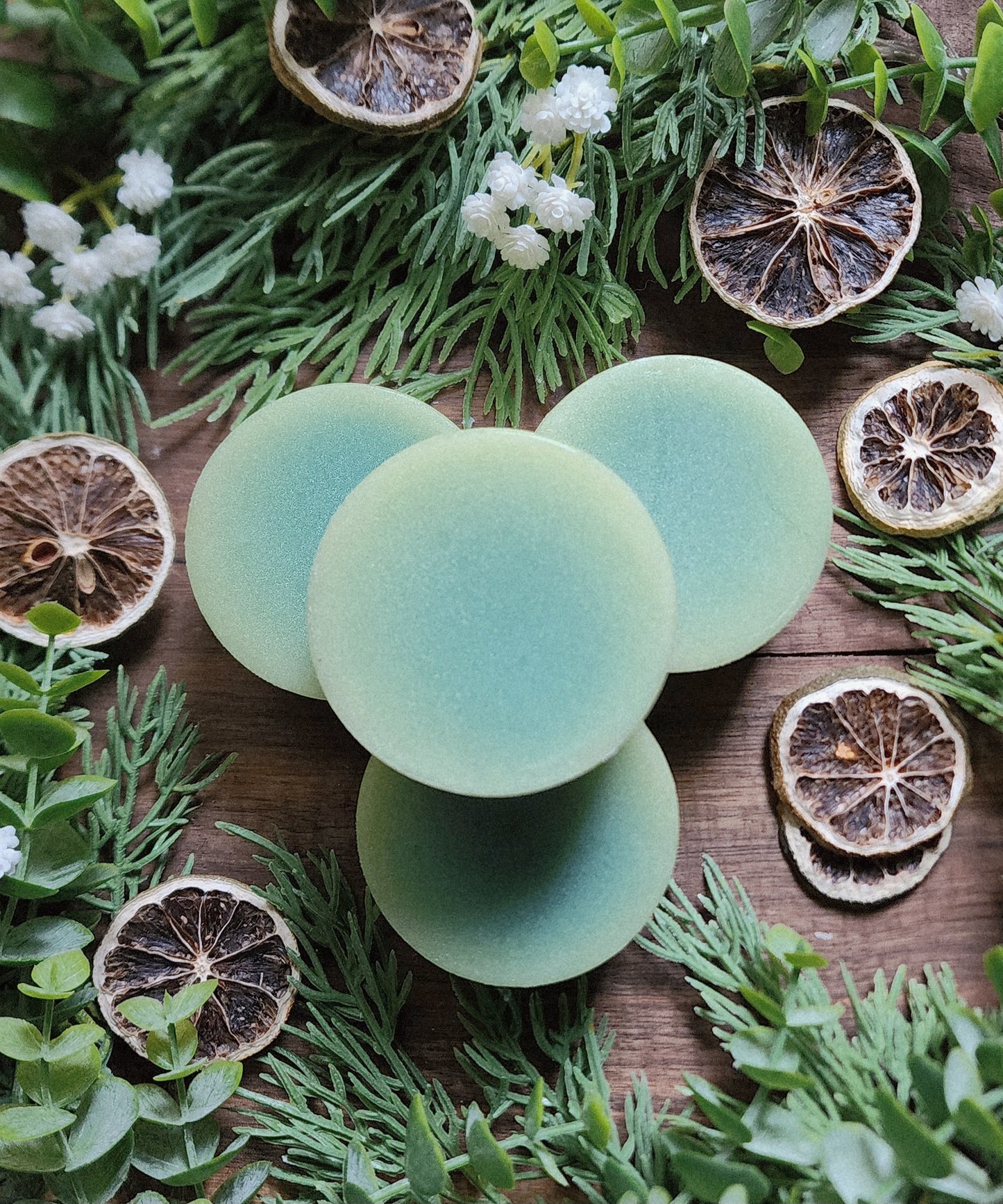 Hair Conditioner Bar - Bergamot and Hinoki