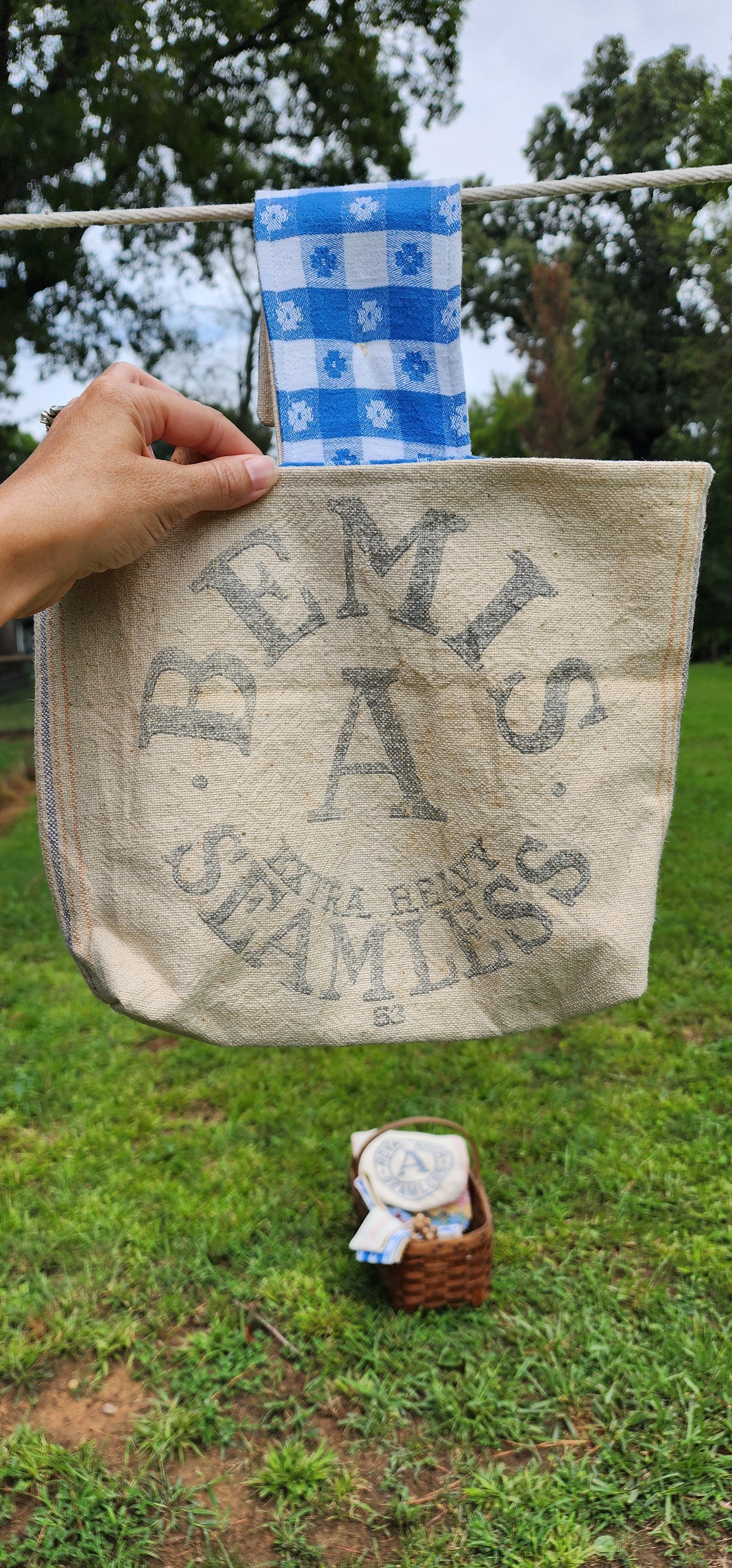 Antique Grainsack Clothespin Bag