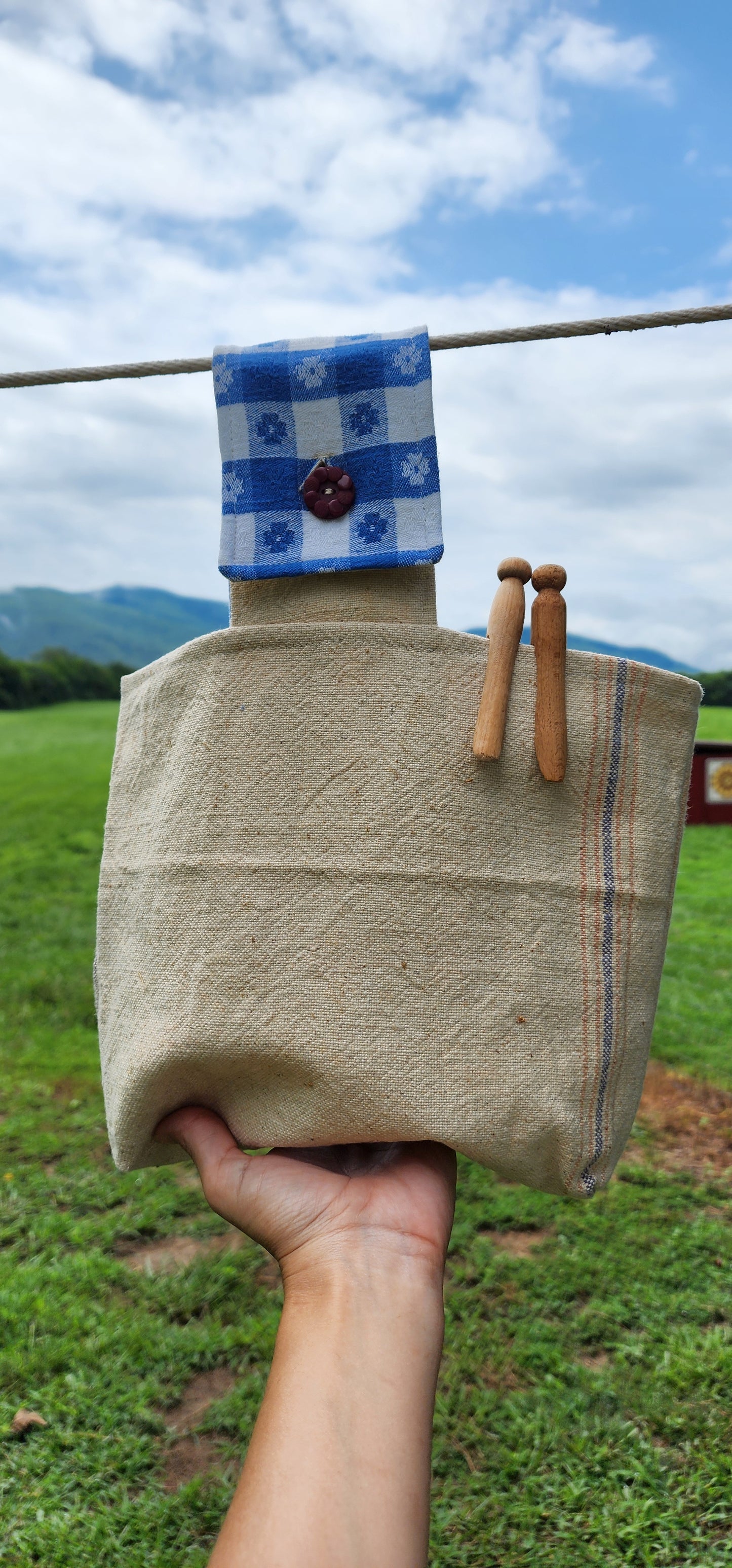 Antique Grainsack Clothespin Bag