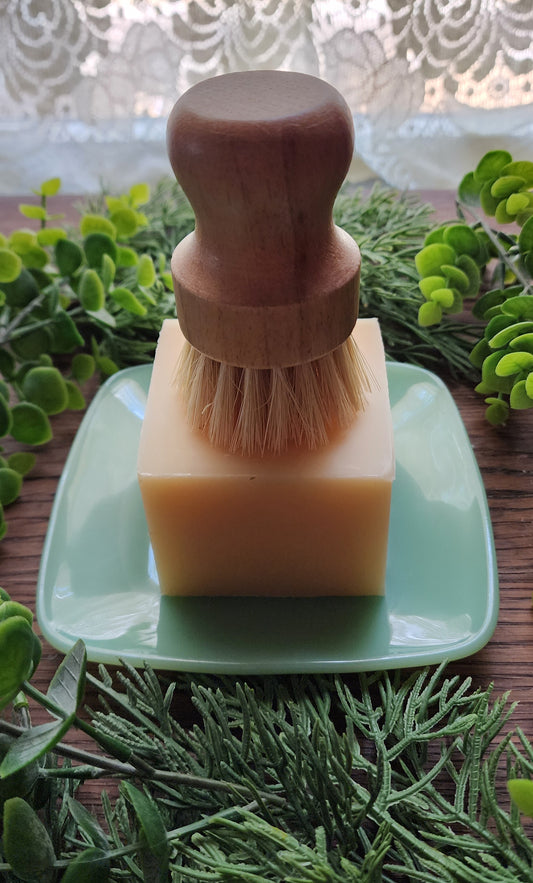 Handmade Dish Soap Set