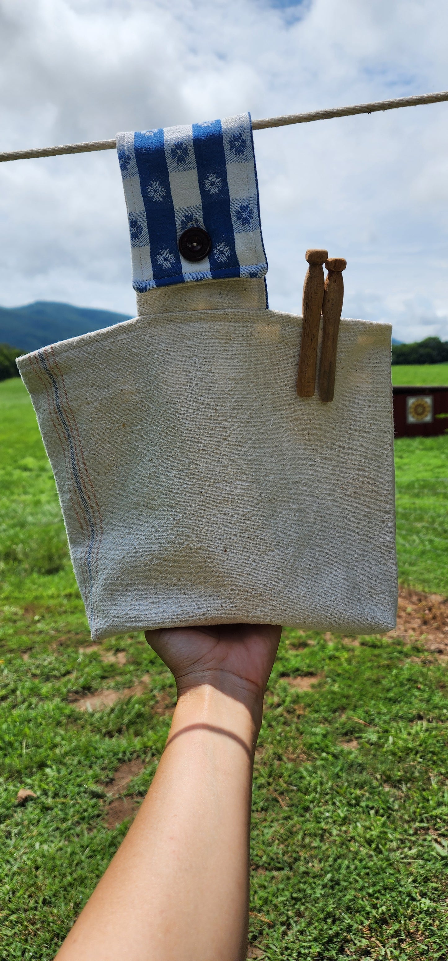 Antique Grainsack Clothespin Bag