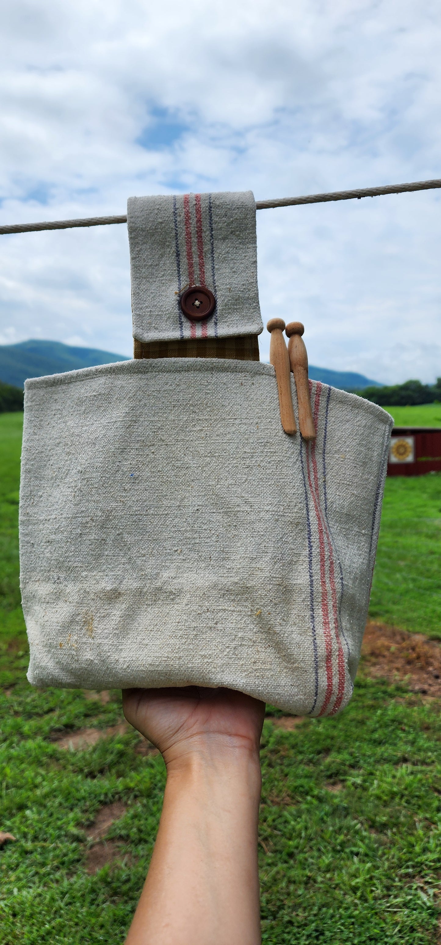 Antique Grainsack Clothespin Bag
