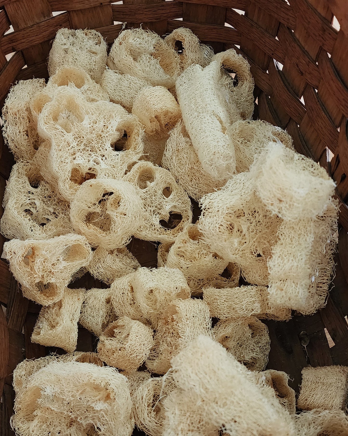 Lavender Loofah Handmade Soap