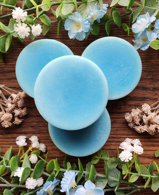 Hair Conditioner Bar - Mediterranean Coast