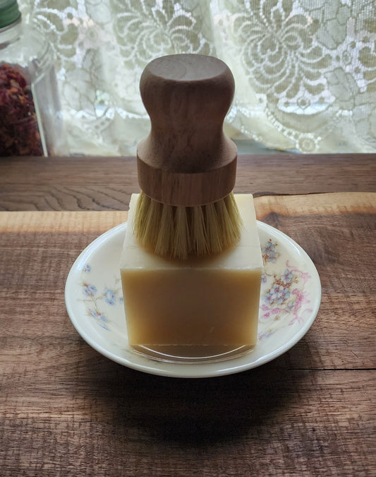 Handmade Dish Soap Set - Orange Clove