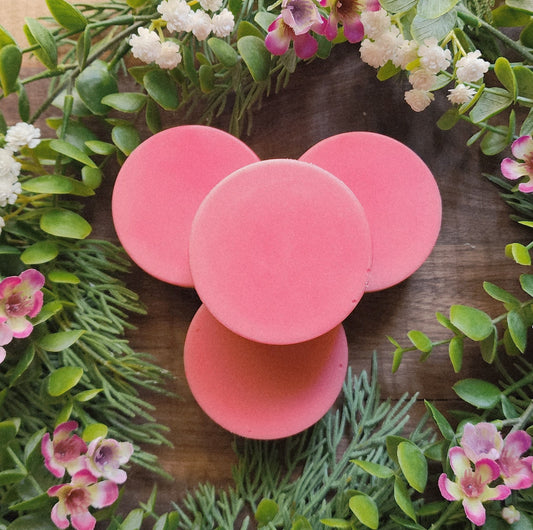 Hair Conditioner Bar - Secret Garden