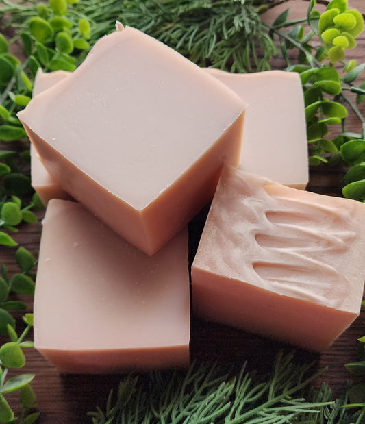 Handmade Dish Soap - In the Holler