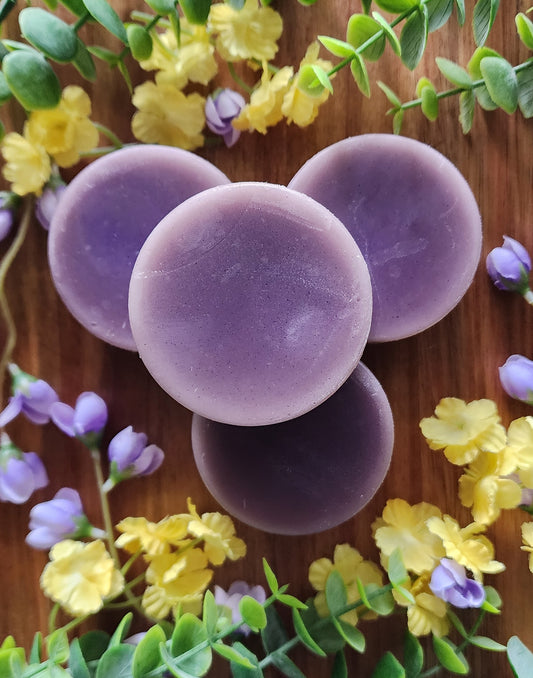 Hair Conditioner Bar - Blackberry Bliss