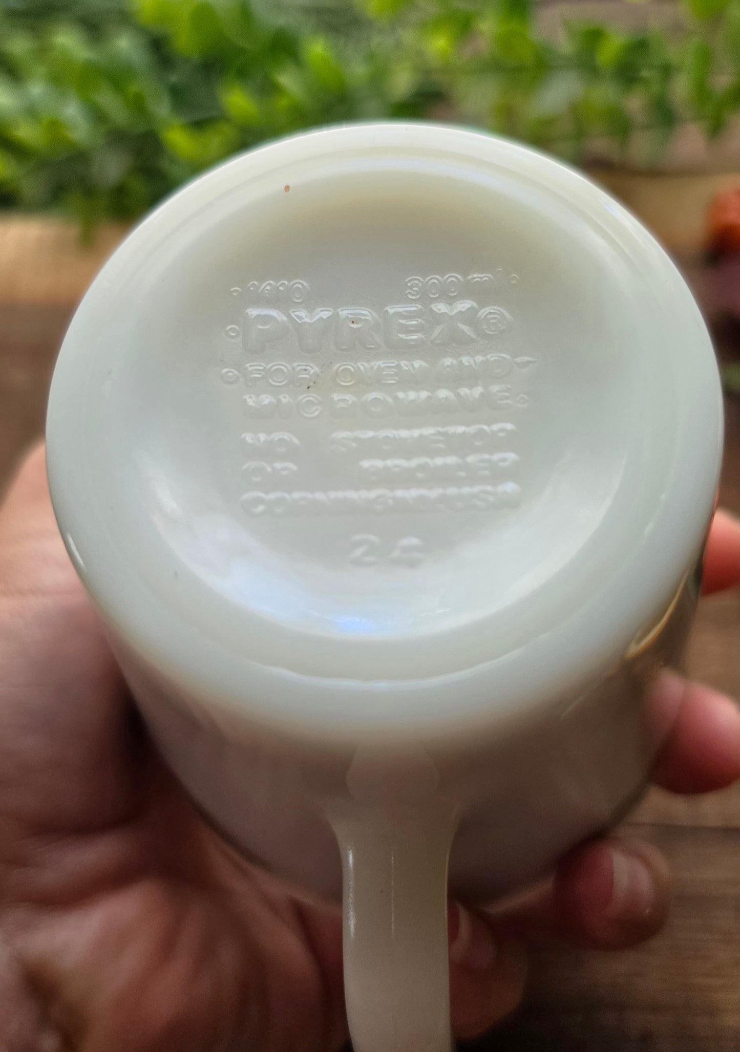 Soy Wax Candle - Hearthside Apple