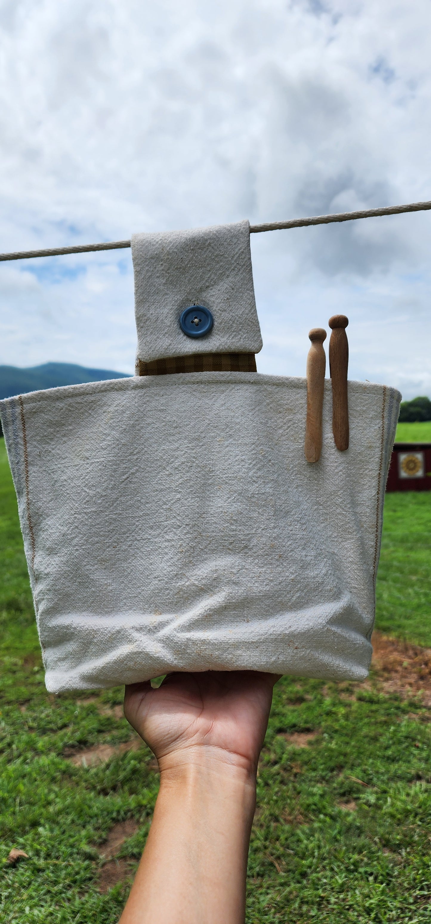 Antique Grainsack Clothespin Bag